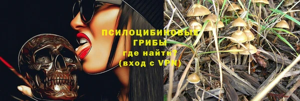гидра Пролетарск